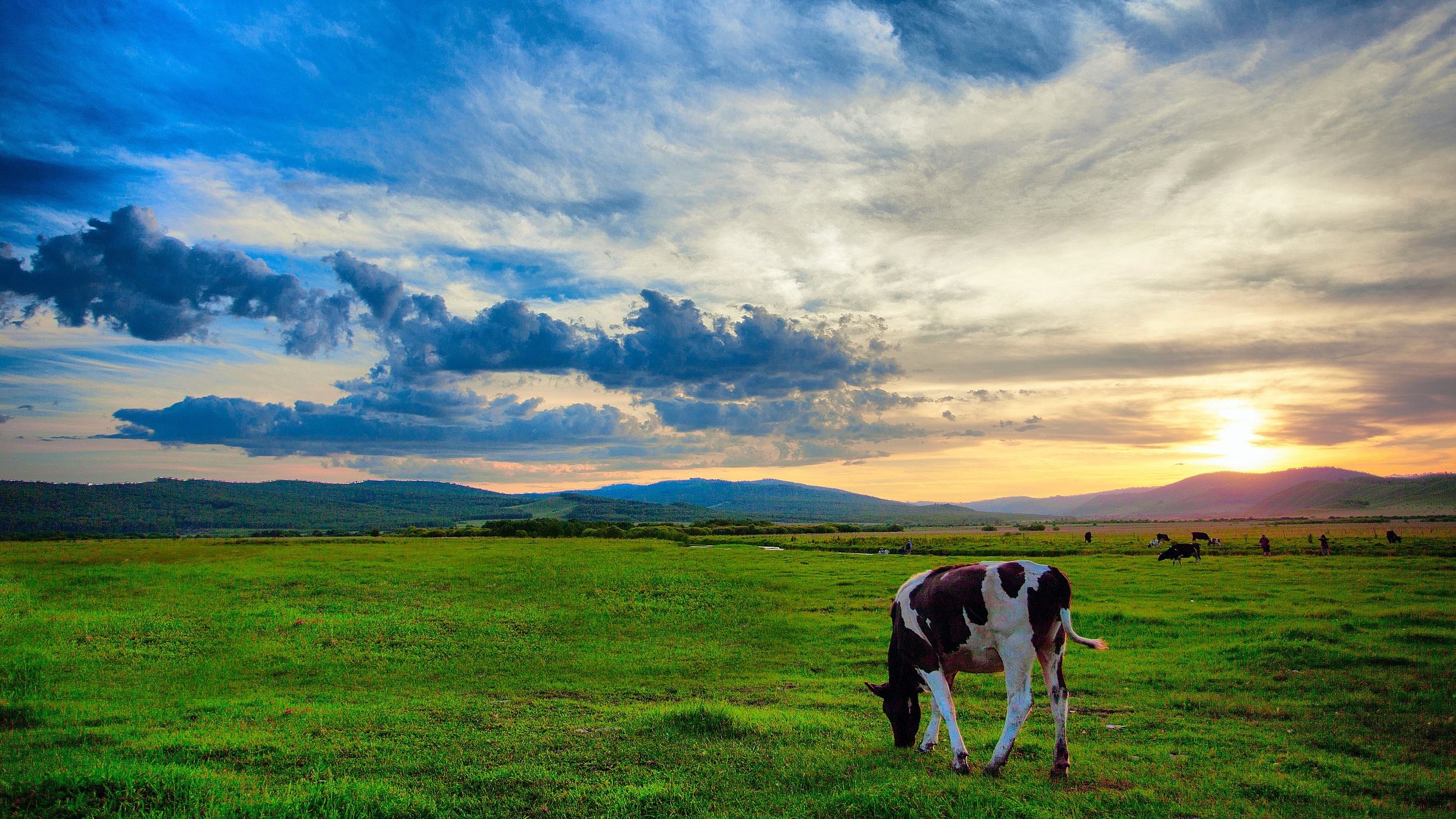 呼伦贝尔，草原之珠的魅力探秘与发现之旅